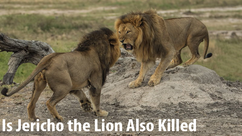 Is Jericho the Lion Also Killed