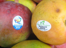 Are the Fruit Stickers Edible?