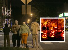 More than 300 People Were Shot in Chicago on Halloween?