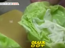 A Video Showing Chinese Artificial Cabbage Will be Delivered in the American Markets