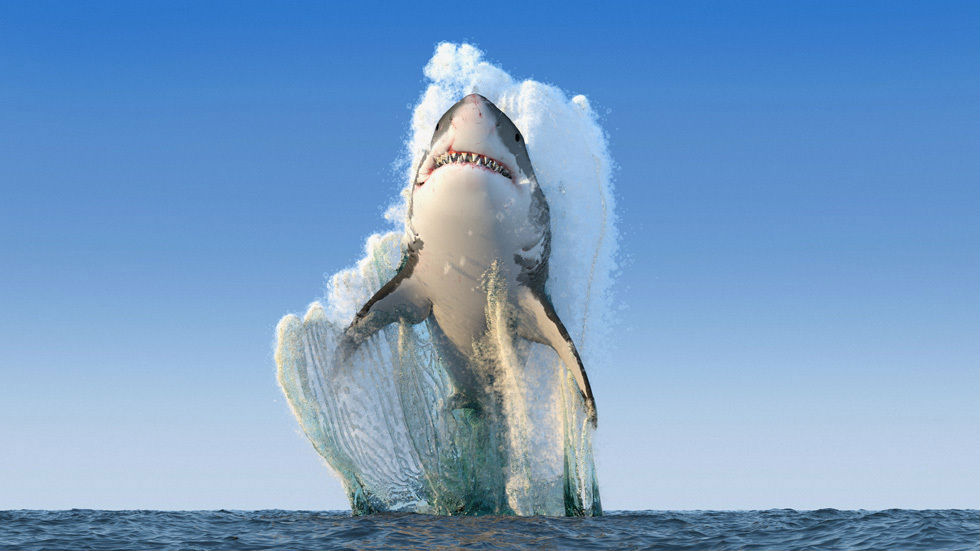 Is This Award Winning Photograph of Great White Shark?