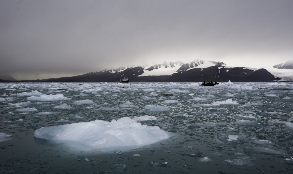 global sea ice levels