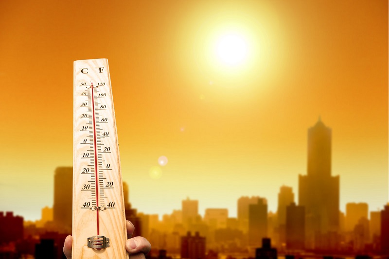 At Least 48% Population in the World Experiencing Deadly Heat-Waves