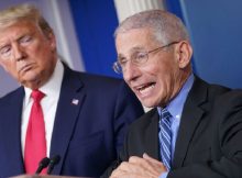 President Trump’s Campaign and an allegation from Dr. Fauci