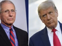 President Trump’s attacks on Dr. Anthony Fauci being ignored by Senate Republicans
