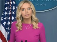 Kayleigh McEnany denied any discussion of pardons for President Trump’s Family