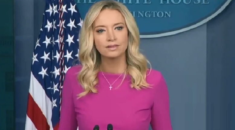 Kayleigh McEnany denied any discussion of pardons for President Trump’s Family