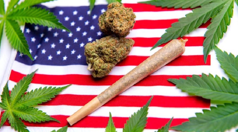 Democratic Victory in US Senate would help efforts in Cannabis Legislation