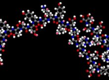 Scientists have discovered New DNA-Peptide Molecules to handle critical diseases