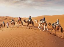 Thrill Packed Desert Safari in Dubai