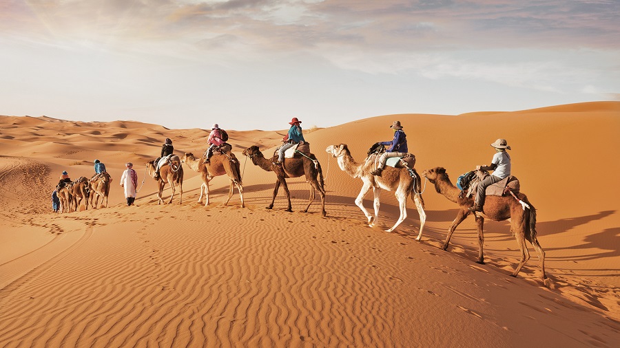 Thrill Packed Desert Safari in Dubai