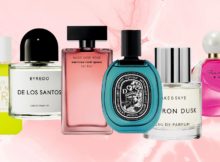 Best Perfume Brands