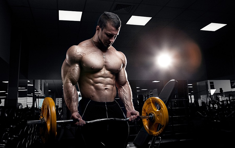 Bodybuilding Ideas