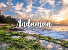 Everything You Need to Know About Andaman Holiday Tour Packages