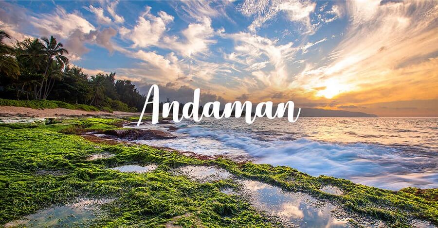 Everything You Need to Know About Andaman Holiday Tour Packages