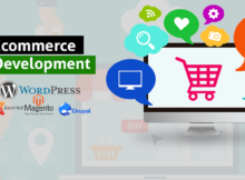 How Much Cost Spends to Develop an eCommerce Website?