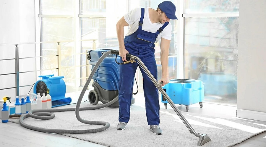 The 5 Best Carpet Cleaning Services In UK: Professional Cleaner For Your Home